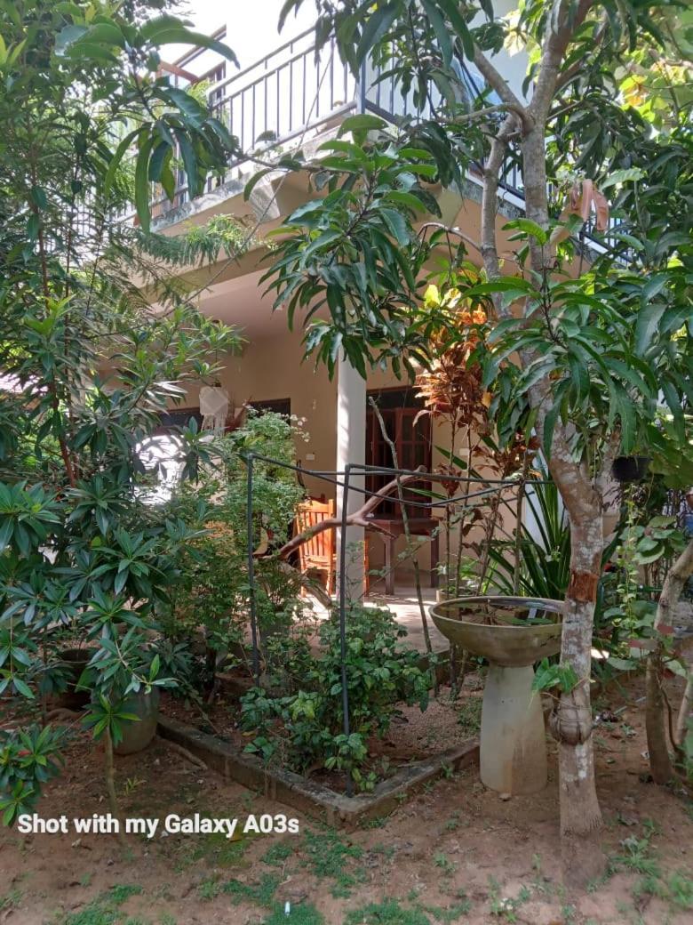 Bamboo Grove Villa 坦加拉 外观 照片